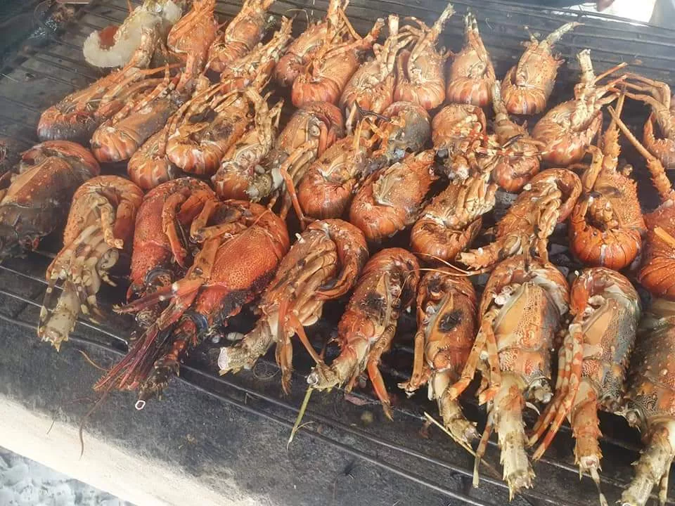 Erleben Sie die besten Meeresfrüchte auf Robinson Island