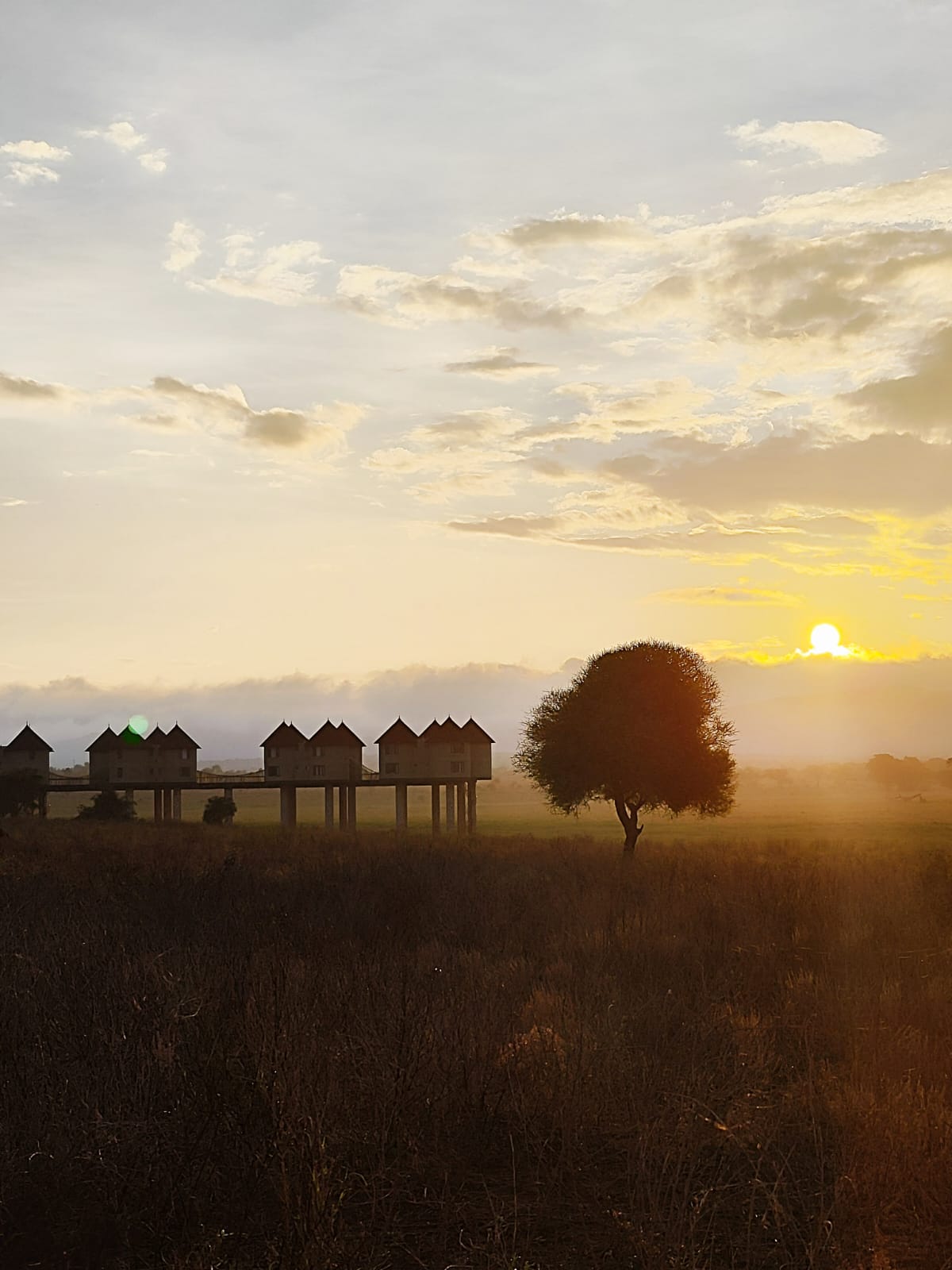 Enjoy safari savanna by experiencing the Big five wild animals in our national parks in Kenya.