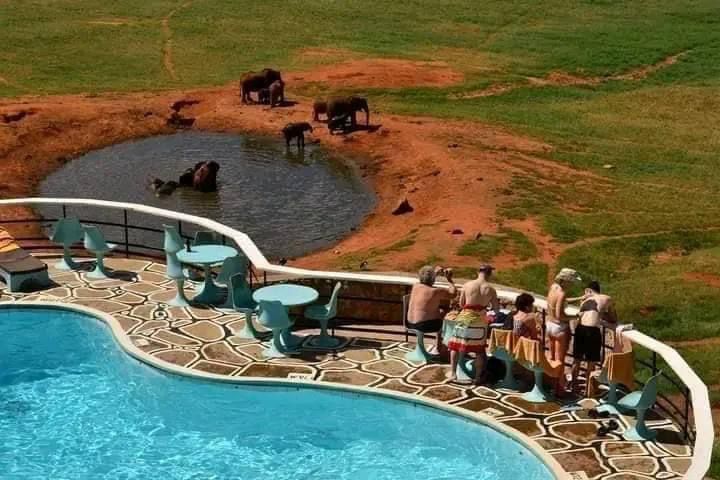 Erleben Sie die wunderschöne Safari und sehen Sie die Big Five in Tsavo East, Tsavo West, Amboseli, Masai Mara, Lake Nakuru und Taita Hills