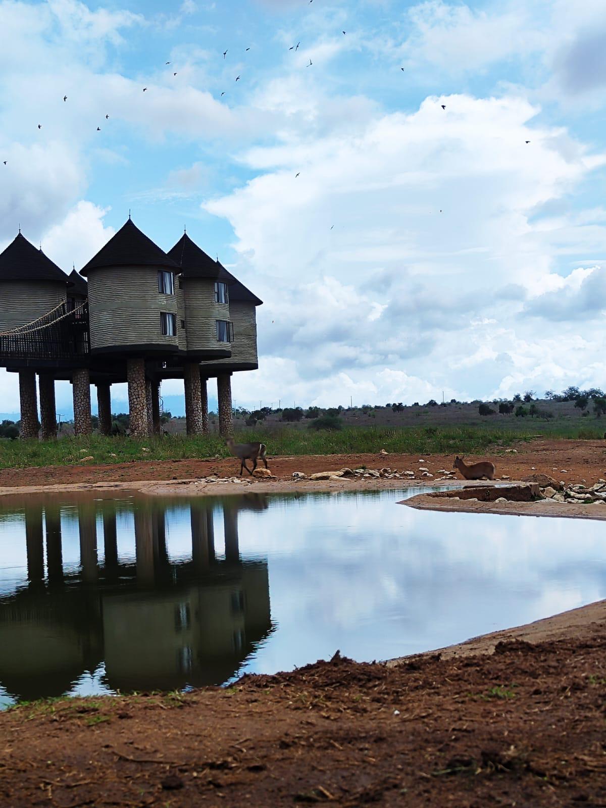 Experience the best safaris adventure in Kenya with us